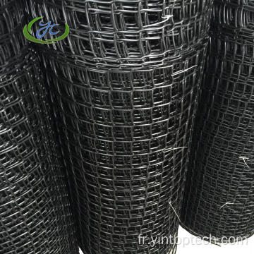 HDPE Plastique Mesh carré